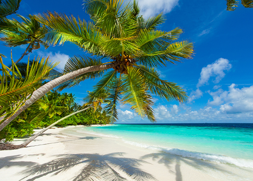 Strandfoto on demand geprint als wanddecoratie