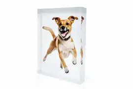 Photo on acrylic block