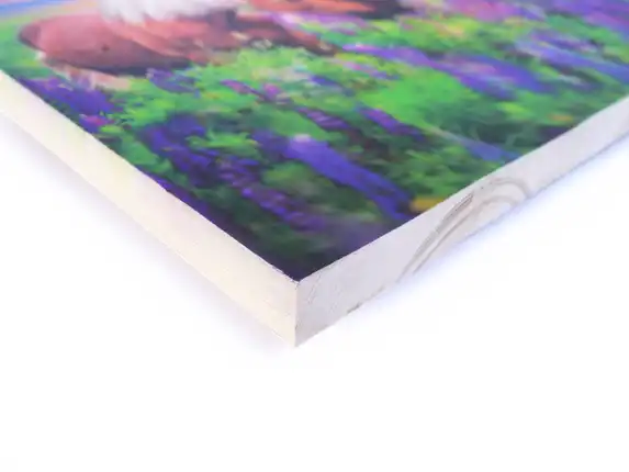 Colorful photo on scaffolding wood gives a nice contrast with the wood.