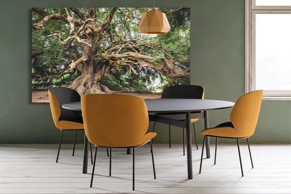 The photo on aluminum is colorfast and has no annoying reflections.