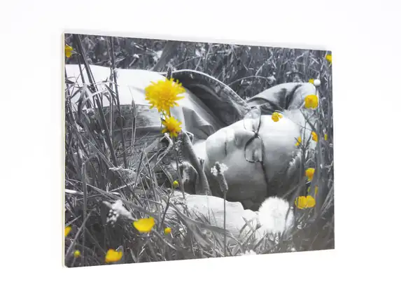 Photo on black and white plywood with color accent.