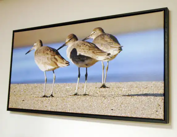 A canvas print in an interchangeable black floating frame gives your image a luxurious, floating appearance.