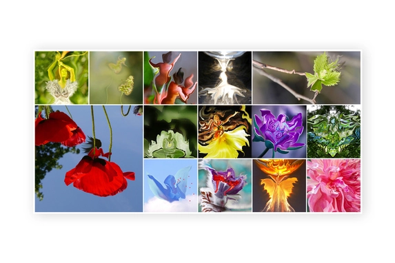 Photo collage on plexiglass.
