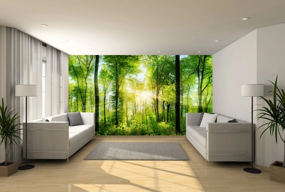 Photo wallpaper with forest.
