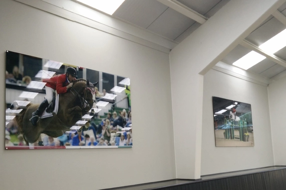 Photos on plexiglass made for Tal Milstein Stables in Asse.