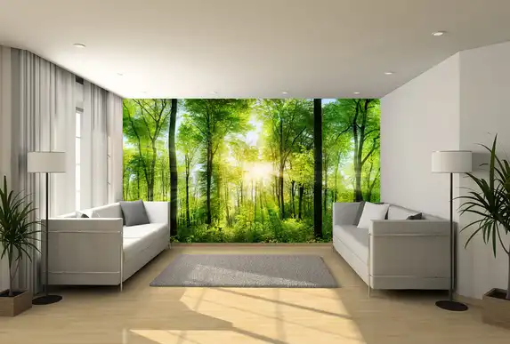 Photo wallpaper with forest is very popular as wall decoration.