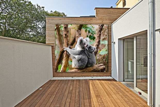 Balcony brightened up with outdoor canvas on wooden frame.