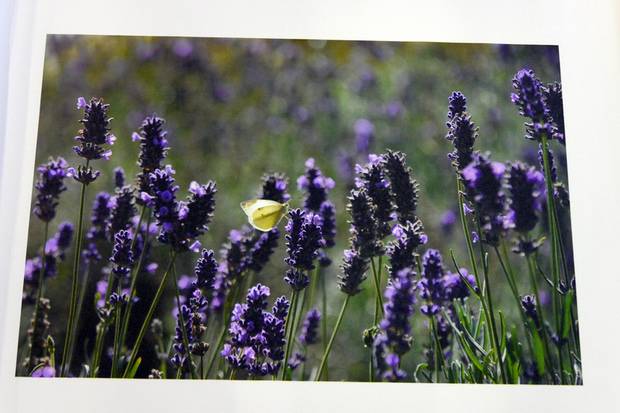 Epson canvas print 8 kleuren