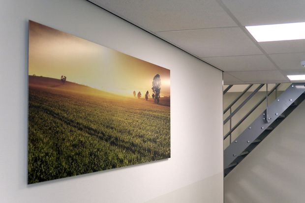 Foto op aluminium geplakt 