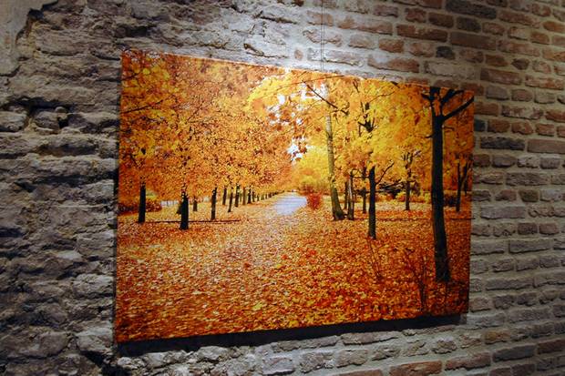 Herfstfoto op fine art canvas