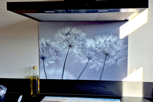 Personalise and decorate your kitchen with a custom photo gift kitchen splashback.