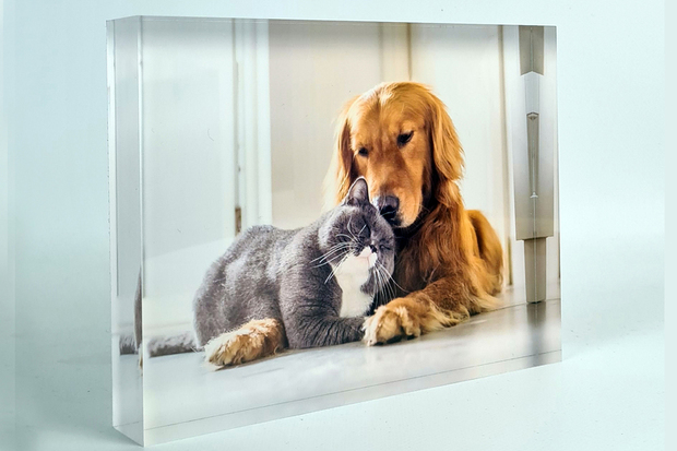 Hondenfoto in acrylblok