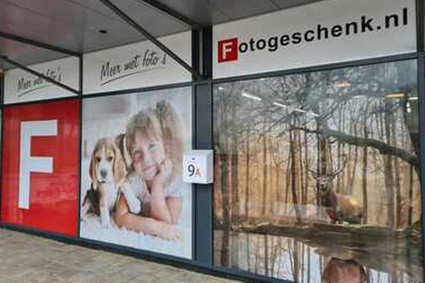 Photo gift window stickers are of very high quality, suitable for interior windows, glass facades and doors and exterior window decoration.	Raa
